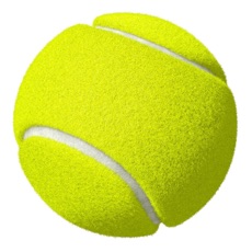 Activities of Tennis Player Quizz