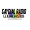 Gaydial Radio, 100% Hits 