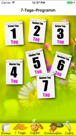 Game screenshot Heilfasten - Fasten & Abnehmen hack