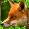 Fox Simulator contact information