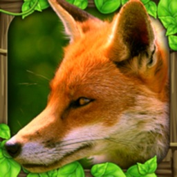 Fox Simulator