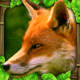 Fox Simulator