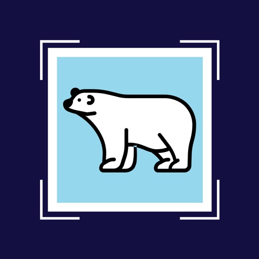 Polar - Instant Photo Scanner