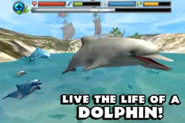 Game screenshot Dolphin Simulator mod apk