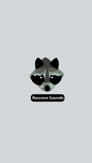 Raccoon Sounds Screenshot