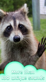 Funny animal: educational game screenshot