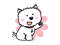 Snow Westie Dog Sticker