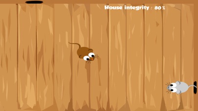 HappyCats Pro - Game for cats screenshot 2