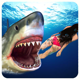 Angry Shark Attack Simulator