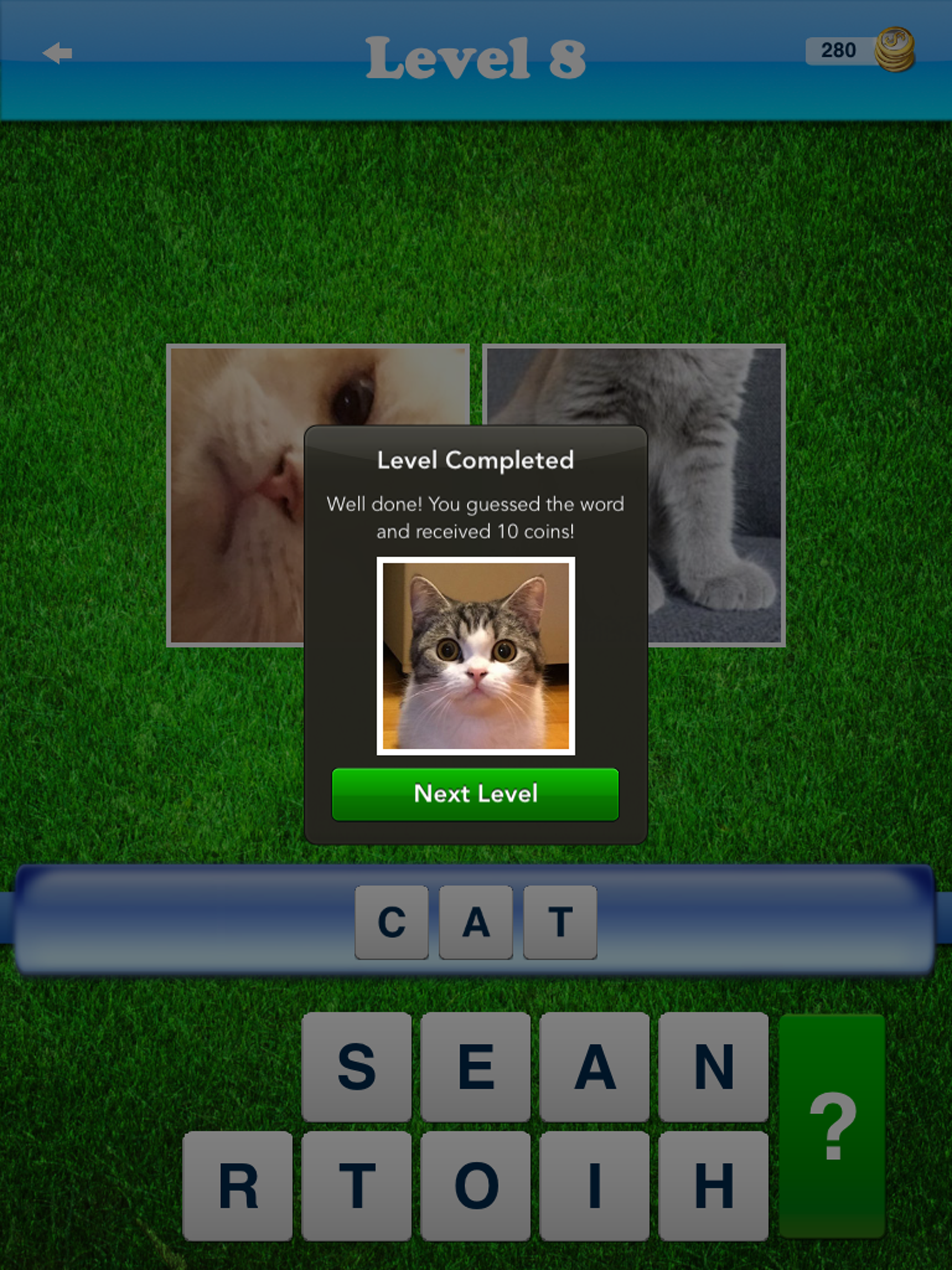 WordTest - ABC Alphabet Words screenshot 9