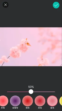 Game screenshot Taco粉色相机-水果甜点主题滤镜 apk