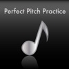 Perfect Pitch Practice Pro icon