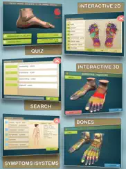 total reflexology-3d iPad Captures Décran 2