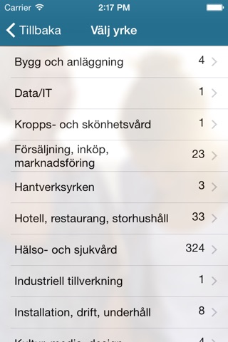 Sommarjobba screenshot 4