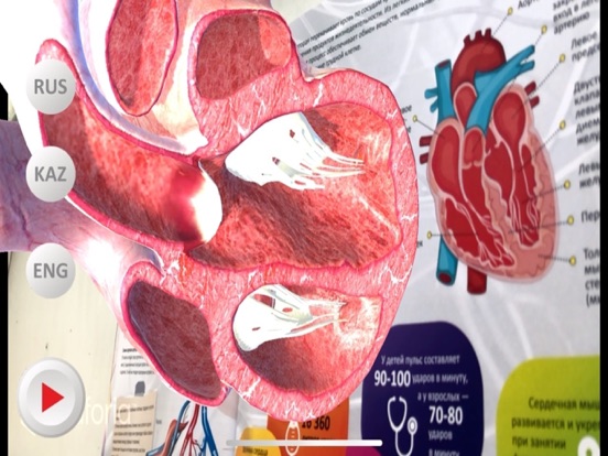 Screenshot #5 pour Anatomy AR book