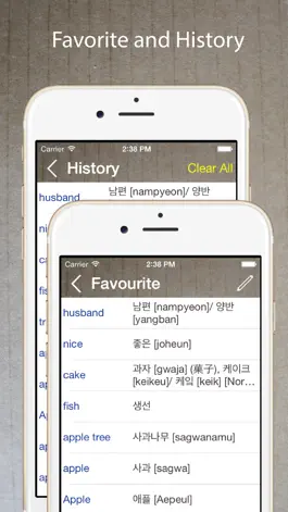 Game screenshot Korean Dictionary & Translator hack