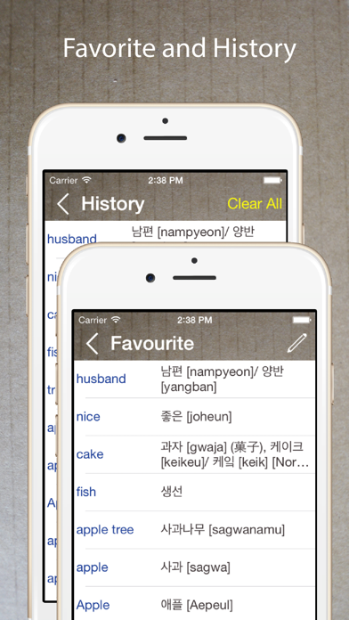 Screenshot #3 pour Korean Dictionary & Translator