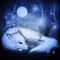 《Escape Fog Forest》 is a room escape class game