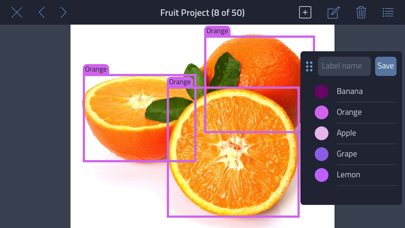 Screenshot #1 pour Labelocity - Image Annotation