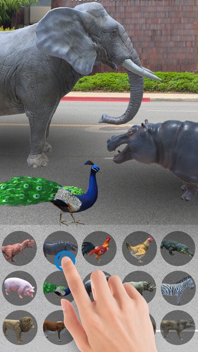 ar动物园-动物世界