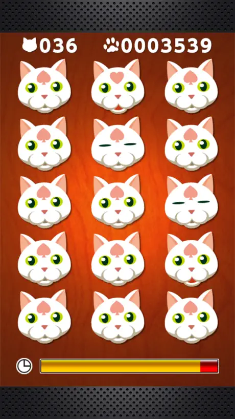 Odd Cat Out