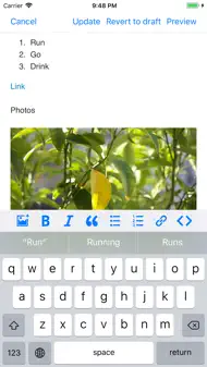 App for Blogger Blogspot iphone bilder 1