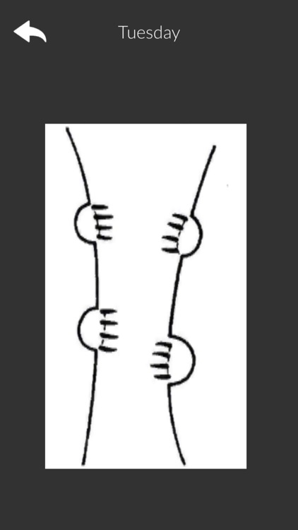 Creativity & Design 2 screenshot-8