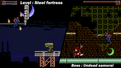 Ninja Ranger Screenshot