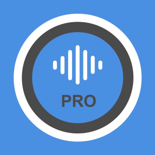 Voice HD recorder - pro