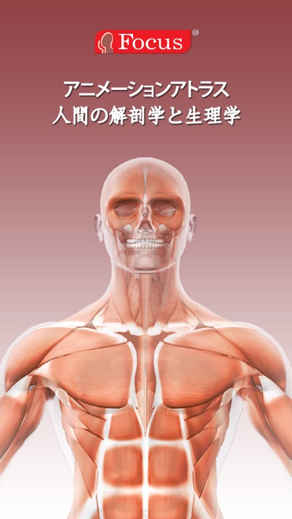 解剖学アトラス