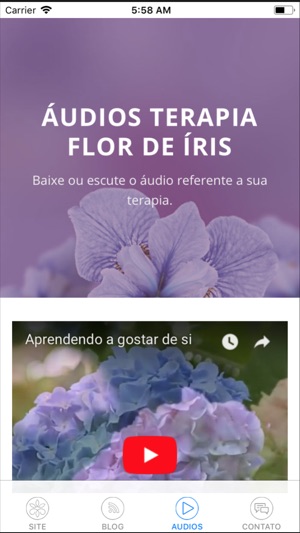Flor de Íris(圖3)-速報App