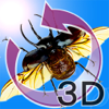 InformationPort Co.,Ltd - The 3D昆虫 I アートワーク