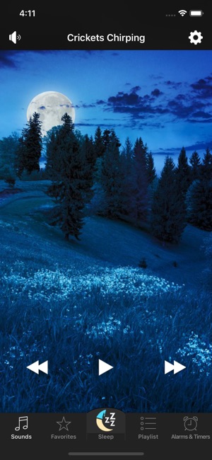 Bed Time Sleep Sounds & Nature