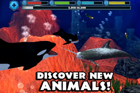 Orca Simulatorのおすすめ画像5