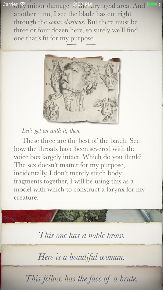 #4. Frankenstein: Interactive (iOS) 由: inkle