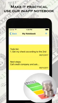 Credit Rating and Credit Check iPhone image 2