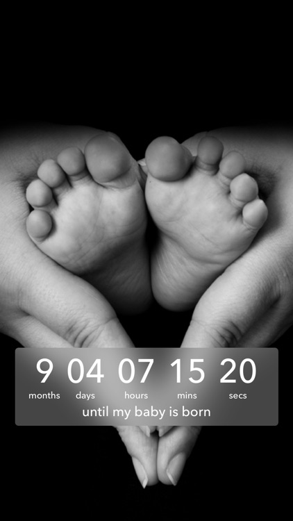 Baby Countdown‼