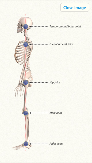 3D Yoga Anatomy Lite Screenshot