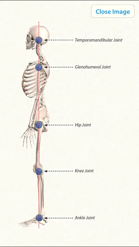 3D Yoga Anatomy Lite screenshot 5 of 5