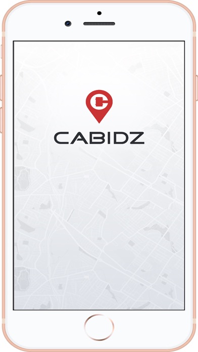 CABIDZ Screenshot