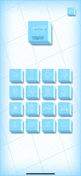 Game screenshot Symmetry Exercises hack