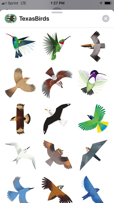 Texas Birds Sticker Pack screenshot 2