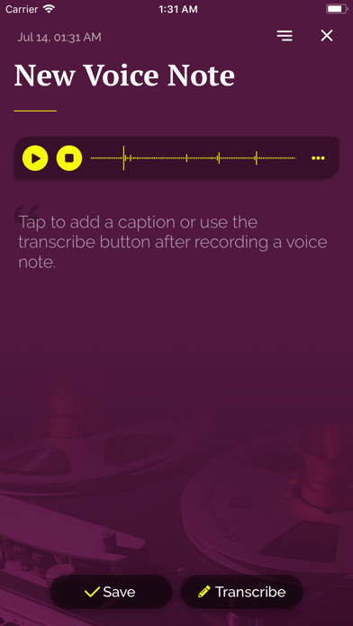 Awesome Voice Notes screenshot 3