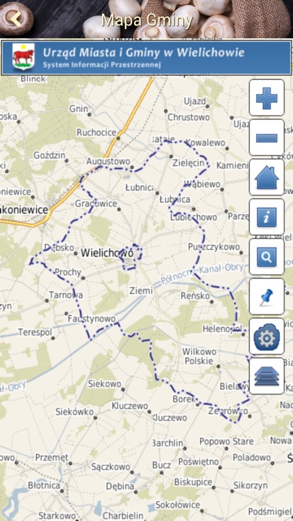 Wielichowo screenshot-4