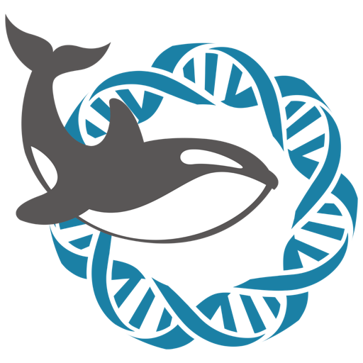 Orca