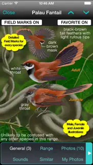 ibird hawaii & palau guide iphone screenshot 2