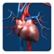 Get 2D visual insights into 50+ Arteries with over 500,000 text characters of detailed information