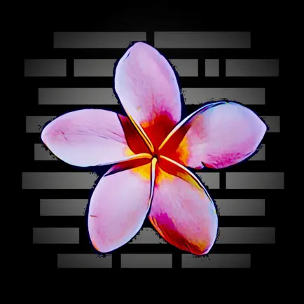 Photo Notes - detail your pics Cheats