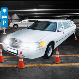 Real Limo Driving School Simulator 2017