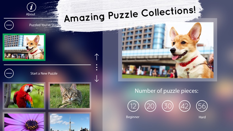 Venn: Jigsaw Puzzle screenshot-3